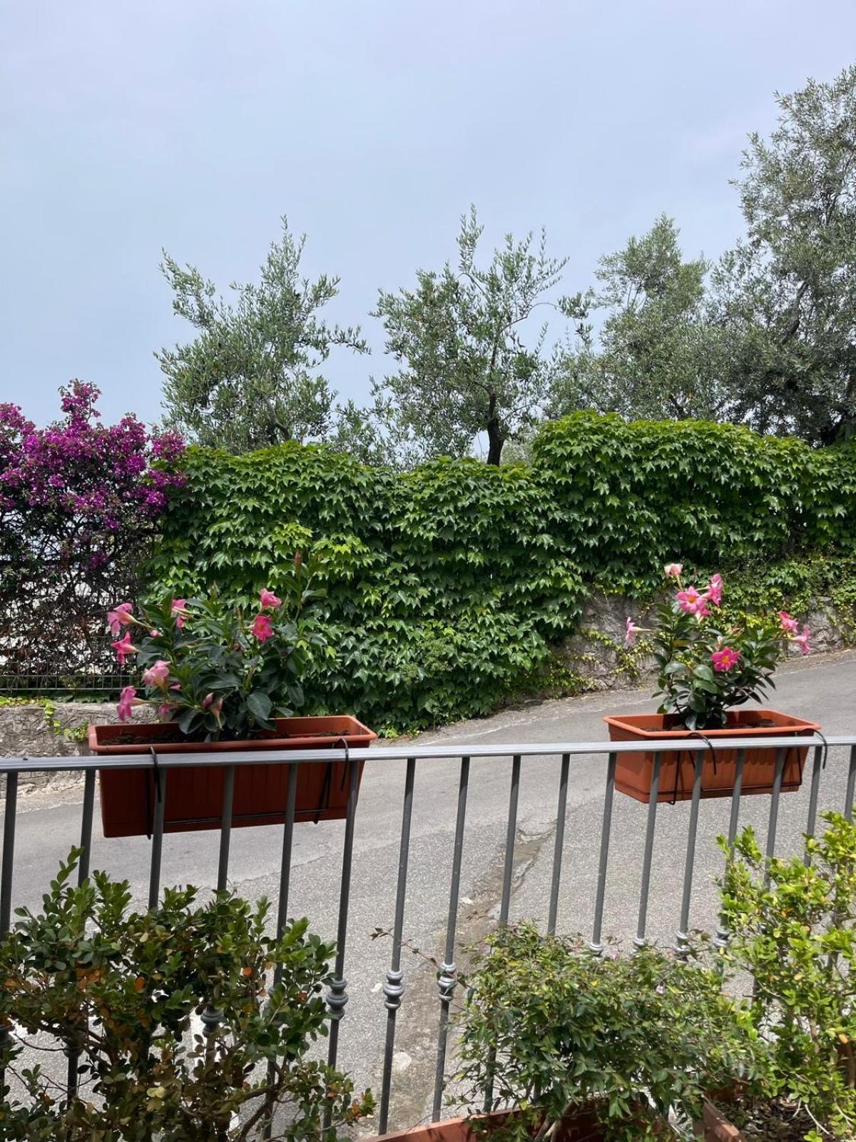 Villa Valentina Suite Massa Lubrense Esterno foto